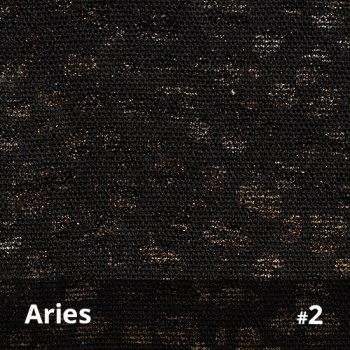 Aries 2